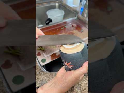 How to Sharpen a Knife WITHOUT a Sharpener (My Mom's Vietnamese Trick) #shorts